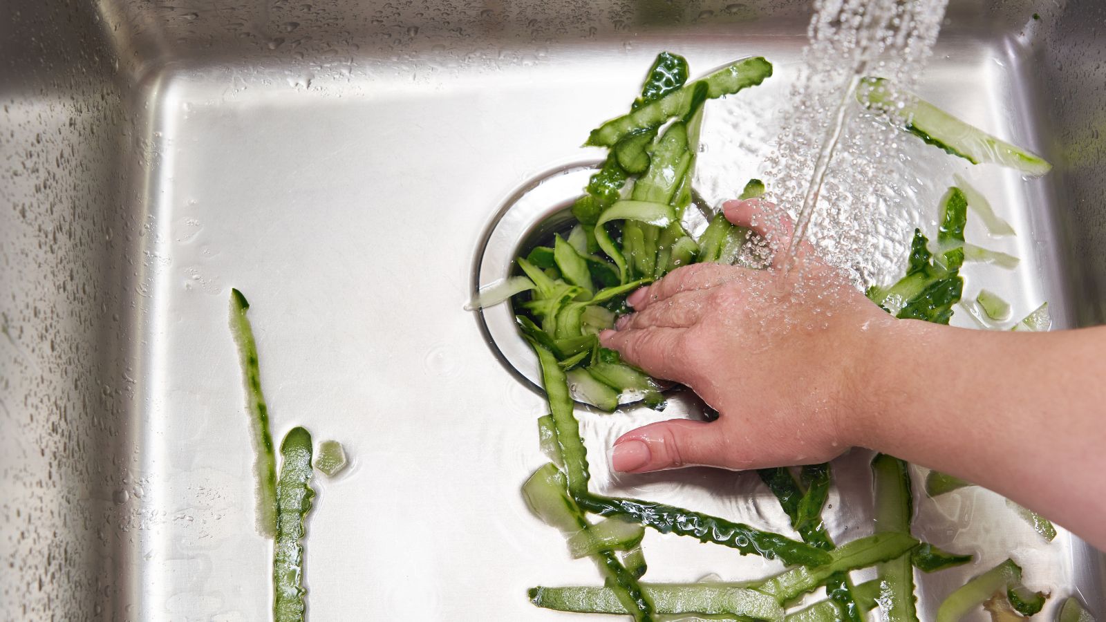 garbage disposal problem